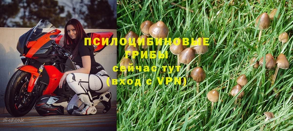 каннабис Каменка