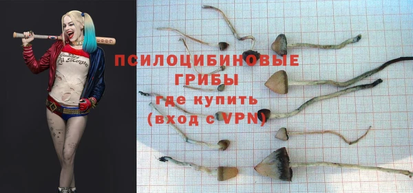 каннабис Каменка