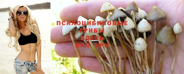 кокаин VHQ Каменногорск